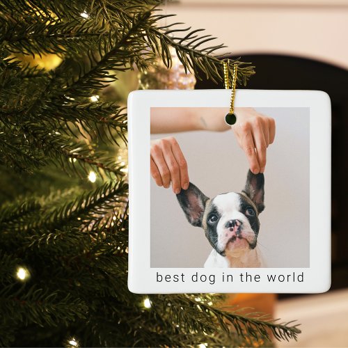 Best Dog In The World  Dog Photo Ceramic Ornament