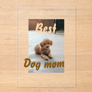 Best dog mom brown puddle pet dog cat mothers day acrylic invitations