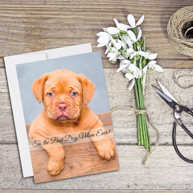 Best Dog Mom Ever Mother’s Day Custom Flat Card (Creator Uploaded)