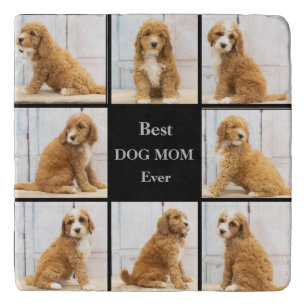 Best Dog Mom Ever   Photo Collage black Trivet