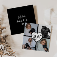 Best Dog Mom | Photo Collage