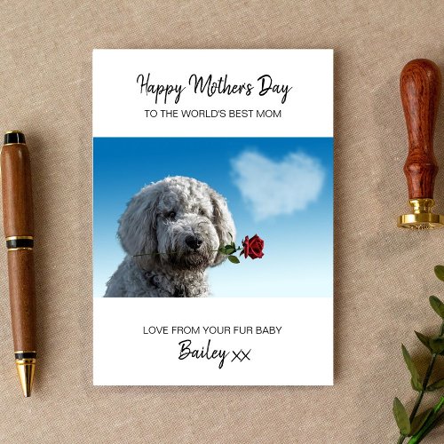 Best Dog Mom Red Rose Personalized Mothers Day Holiday Card