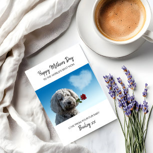 Best Dog Mom Red Rose Personalized Mother's Day Holiday Card