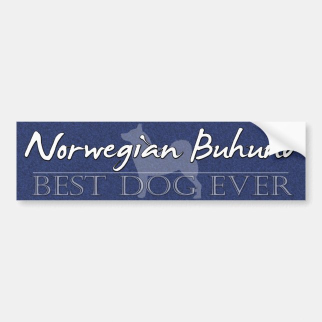 Best Dog Norwegian Buhund Bumper Sticker (Front)