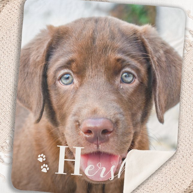 Best Dog Personalized Pet Labrador Puppy Photo  Sherpa Blanket (Creator Uploaded)