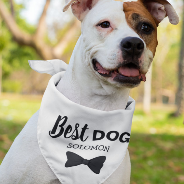 Dog ring shop bearer bandana