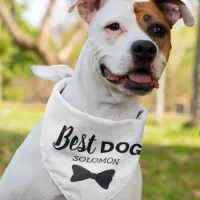 Best Dog pet wedding elegant black bowtie Bandana Zazzle