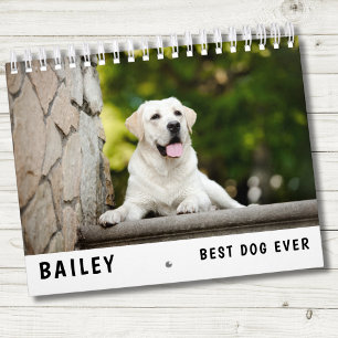 Best Dog Photo  Calendar