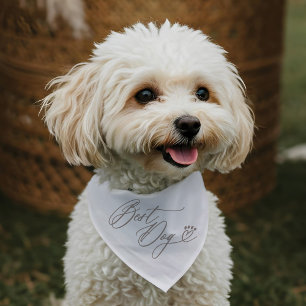 Best Dog Script Heart Paw Print Cute Pet Wedding Bandana Collar