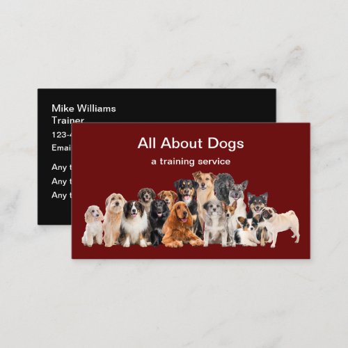 Best Dog Trainer New Business Cards