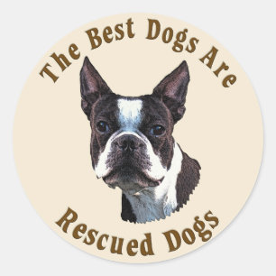 Best Dogs Are Rescued - Boston Terrier Classic Round Sticker