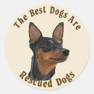 Best Dogs Are Rescued - Miniature Pinscher Classic Round Sticker
