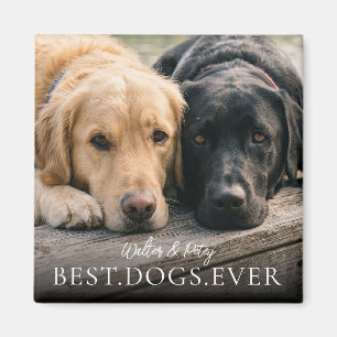 Best Dogs Ever Your Pets Name And Photo Magnet