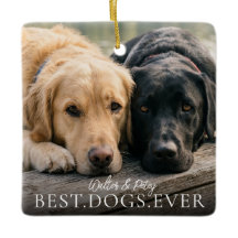Best Dogs Ever Your Pets Name And Photo Magnet
