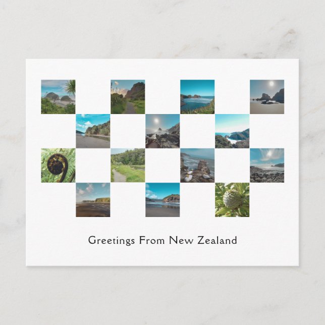 Best Family Holiday Checker Photo Gallery Postcard (Front)