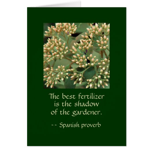 Best fertilizer shadow of the gardener. GI BB Cards (Front)