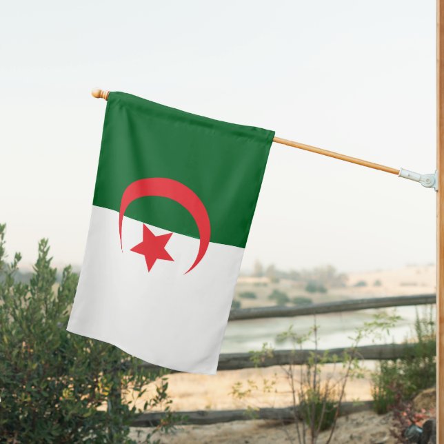 Best flag for my love Algeria  (Insitu (Back))