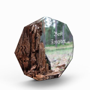 Best Forester Award by GetArtFACTORY at Zazzle
