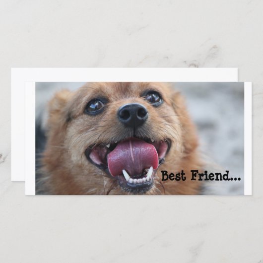 Best Friend (Front/Back)