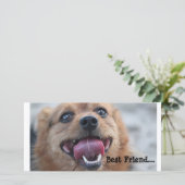 Best Friend (Standing Front)