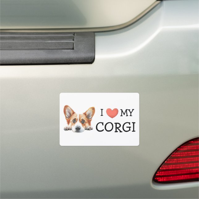 Best Friend A Gold Corgi Car Magnet (In Situ)