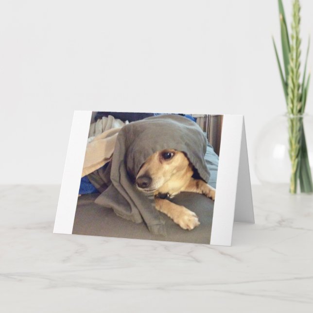 BEST FRIEND from the animal shelter is a greeting Card (Front)