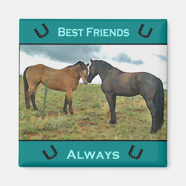 Best Friend Horse magnet (Front)