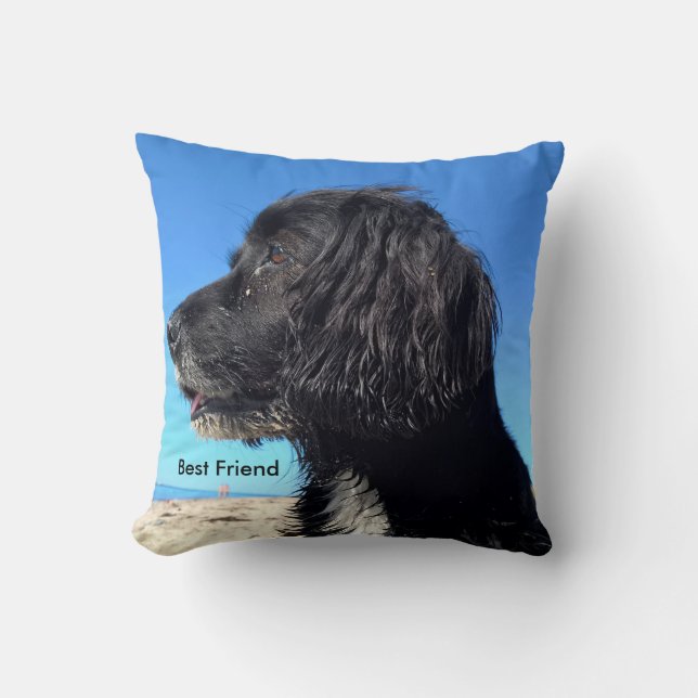 Best Friend Throw Pillow (Front)