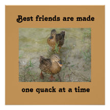 Best friends are made - 20 x 20 Poster