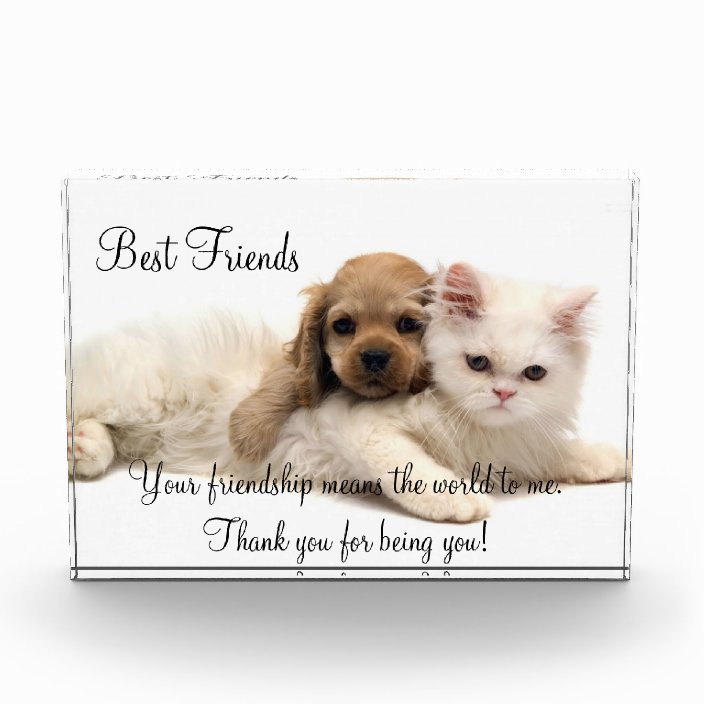 Best Friends Award  Zazzle.com