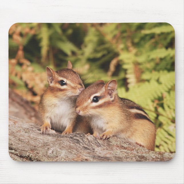 Best Friends Baby Chipmunks Mouse Pad (Front)