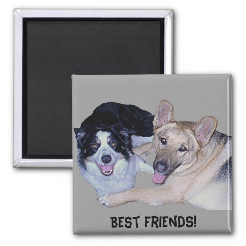 Best Friends Border Collie  German Shepherd Magnet