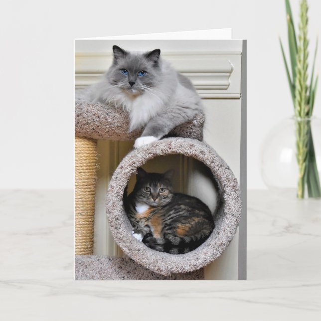 Best Friends, card (Front)