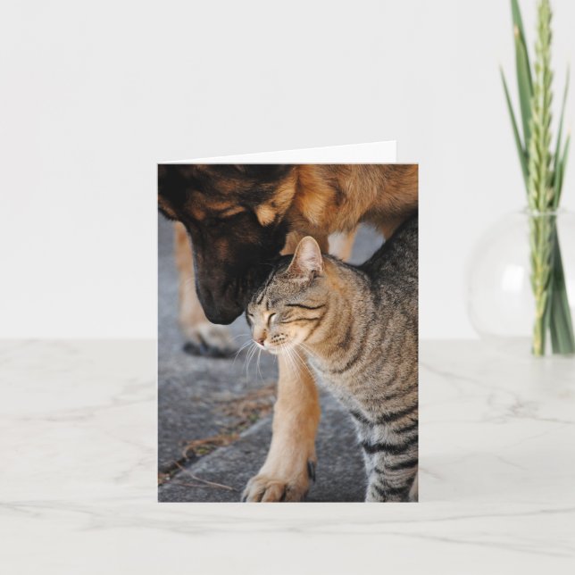 Best Friends- Cat & German Shepherd Card (Front)