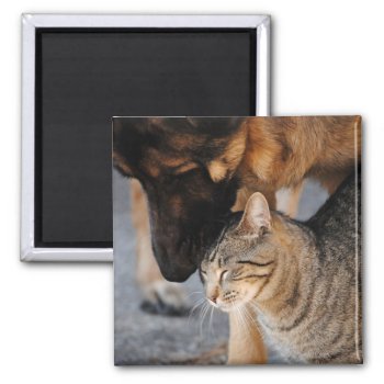 Best Friends- Cat & German Shepherd  Magnet by AllyJCat at Zazzle
