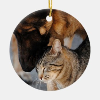 Best Friends- Cat & German Shepherd  Ornament by AllyJCat at Zazzle