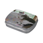 Best Friends Cats Jelly Belly Tin (Side)