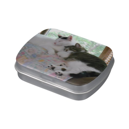 Best Friends Cats Jelly Belly Tin (Side)
