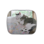 Best Friends Cats Jelly Belly Tin (Top)