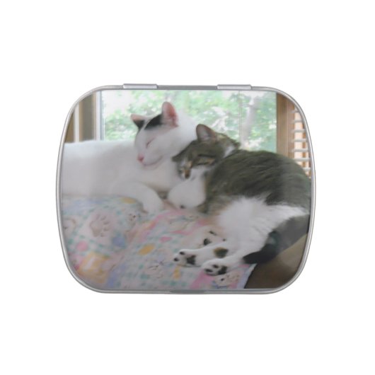 Best Friends Cats Jelly Belly Tin (Top)