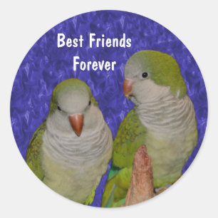 Best Friends Cute Birds Friendship Classic Round Sticker
