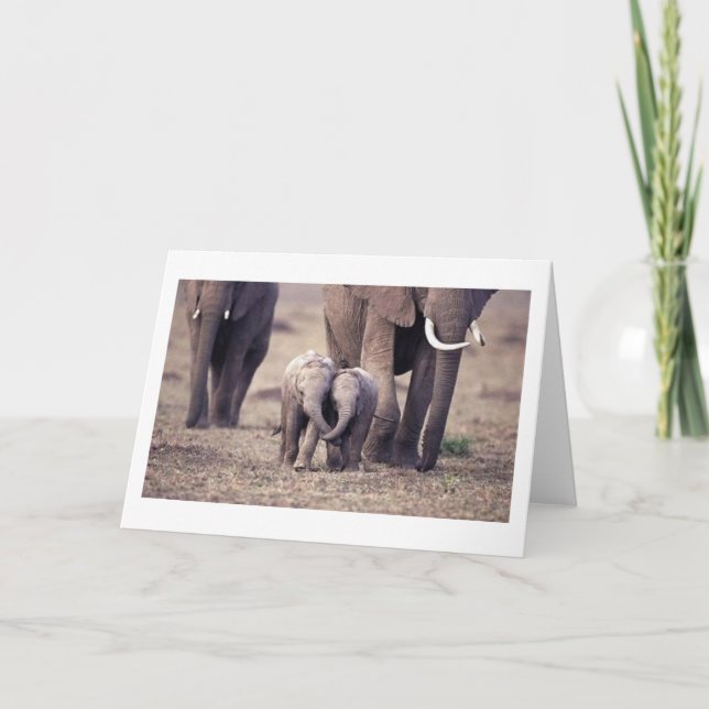 Best Friends Elephant Card (Front)