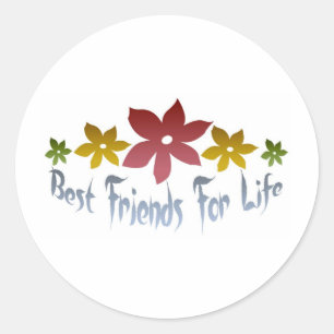 Best Friends For Life Classic Round Sticker