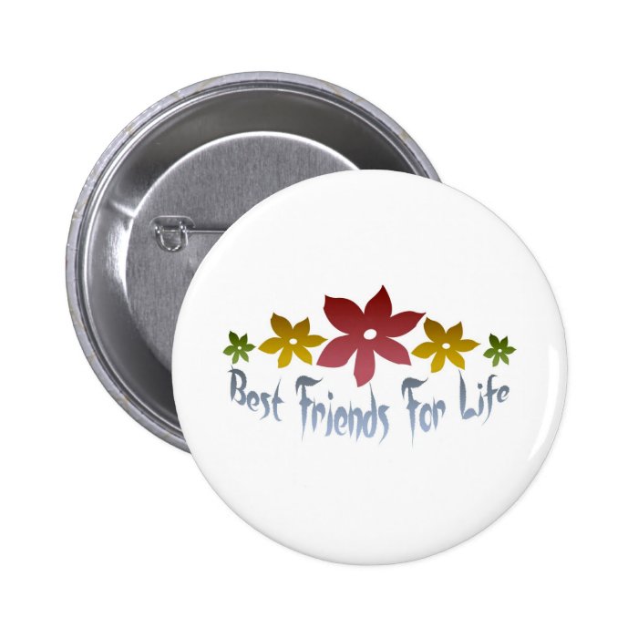 Best Friends For Life Pins