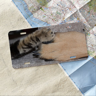 Best Friends Forever by Shirley Taylor License Plate