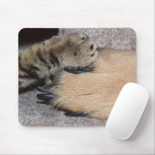 Best Friends Forever by Shirley Taylor Mouse Pad