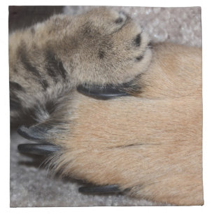 Best Friends Forever by Shirley Taylor Napkin