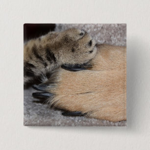 Best Friends Forever by Shirley Taylor Pinback Button