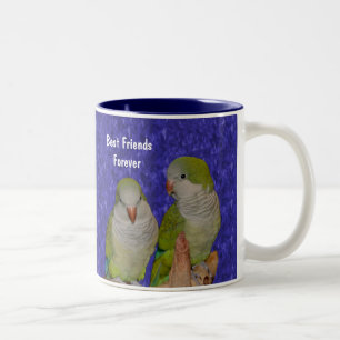Best Friends Forever Cute Bird Mug