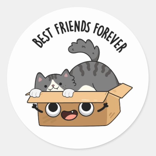 Best Friends Forever Funny Cat And Box Pun  Classic Round Sticker